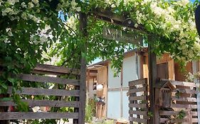 Di House Đà Lạt